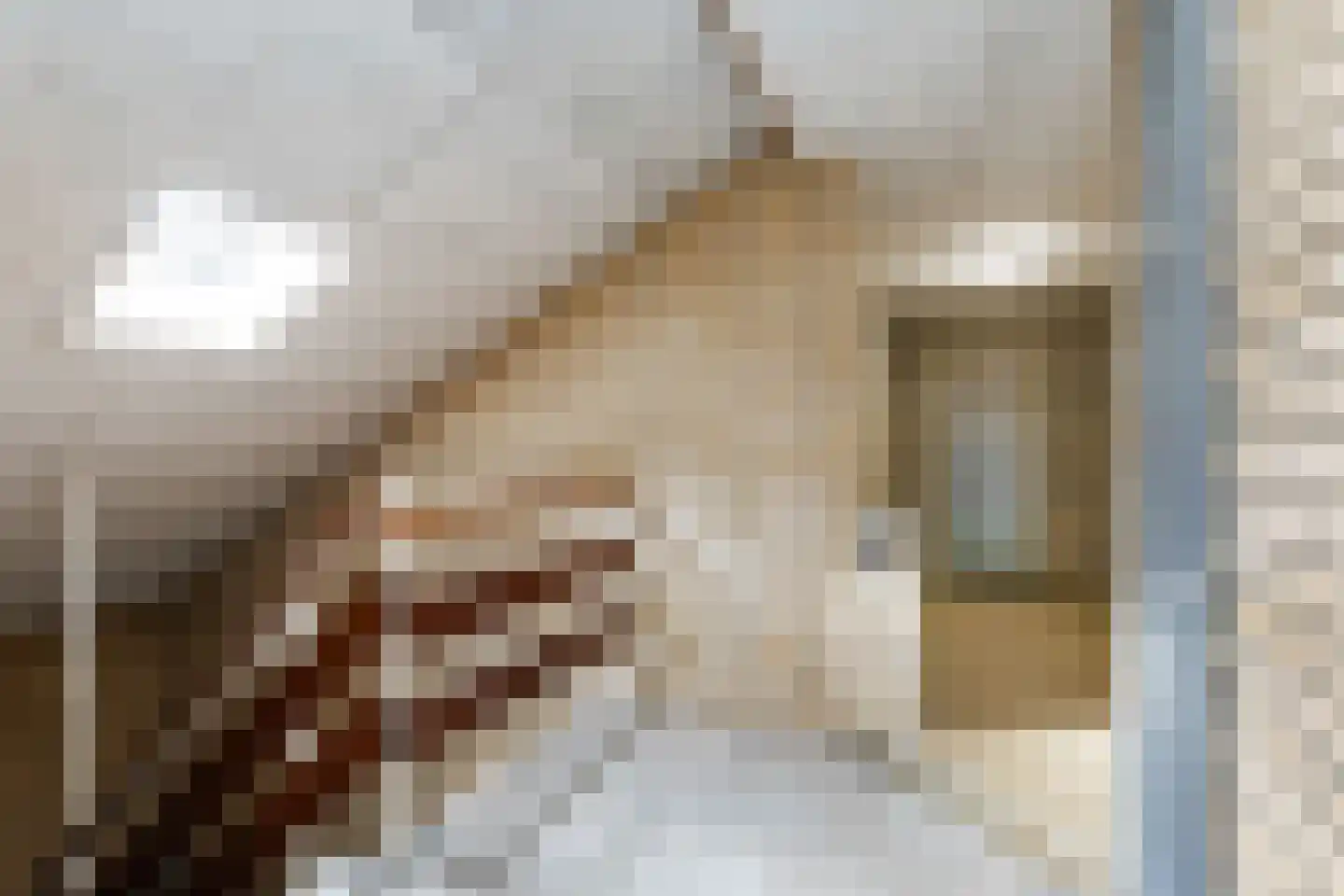 Hogenkampsweg 36 Zwolle thumbnail 34