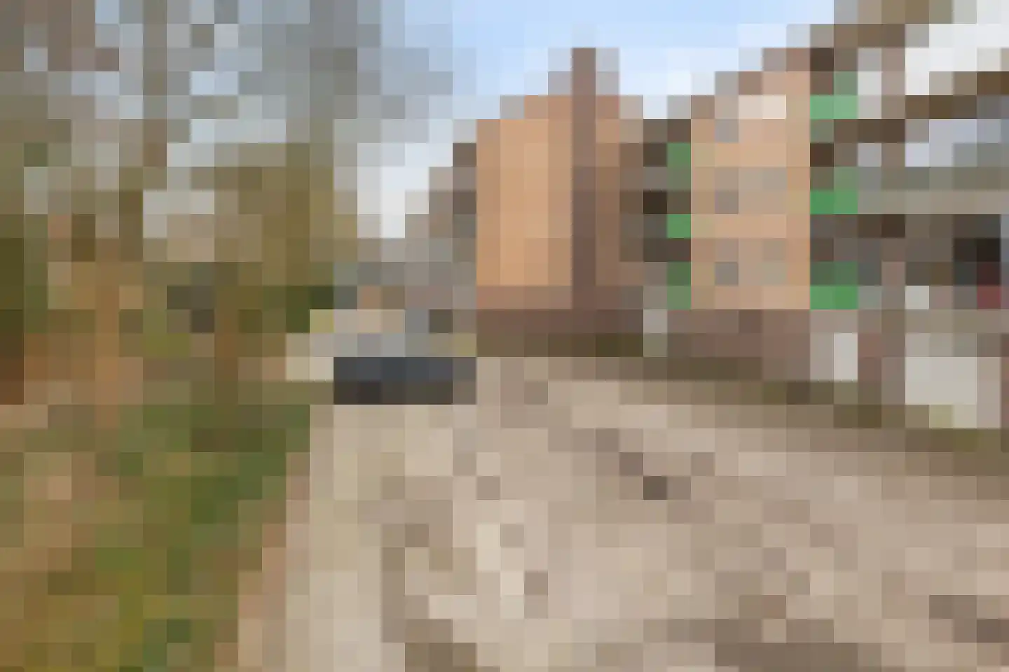 Hogenkampsweg 36 Zwolle thumbnail 39