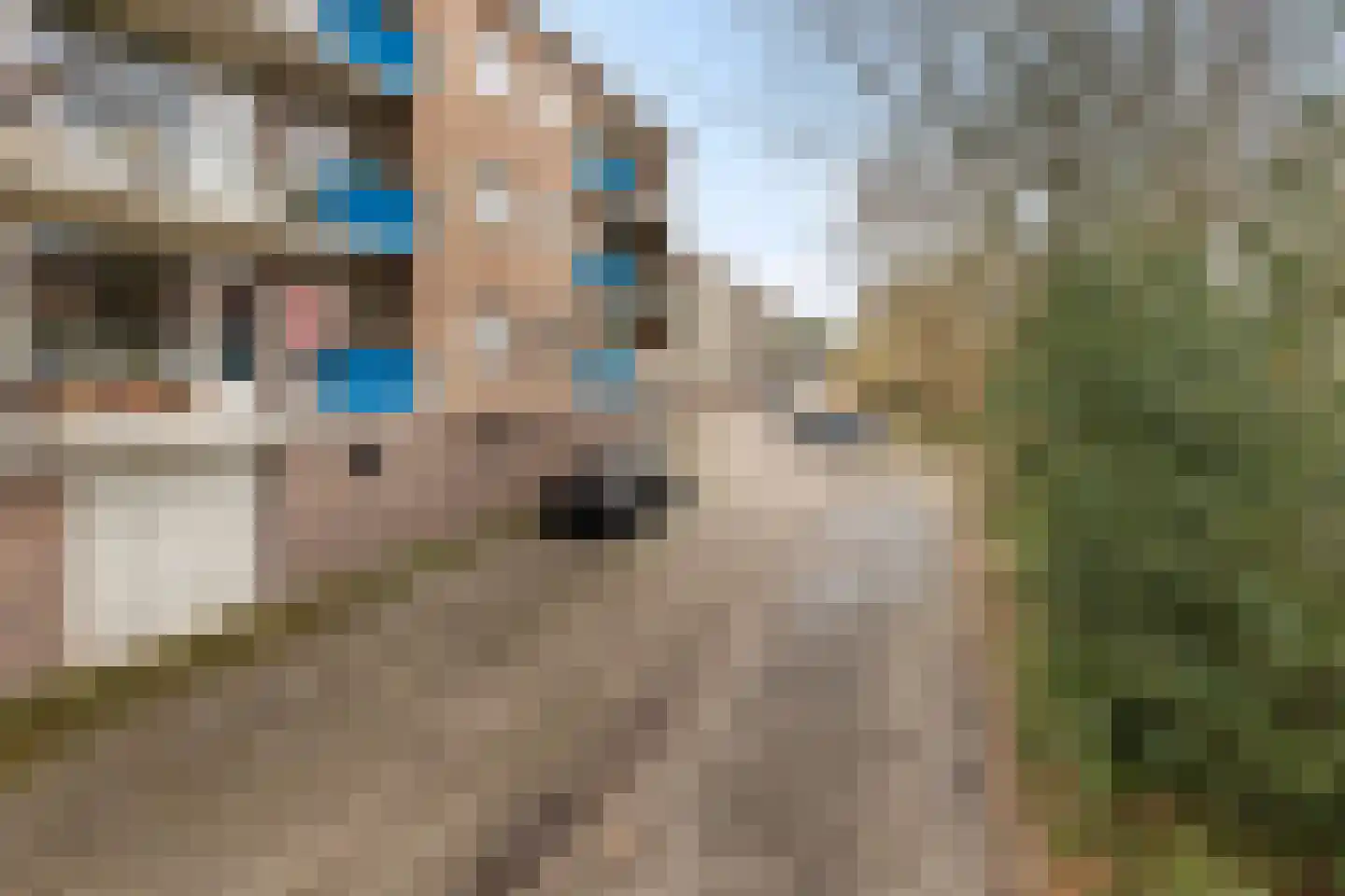 Hogenkampsweg 36 Zwolle thumbnail 40