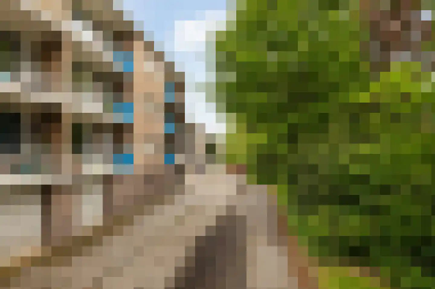 Hogenkampsweg 36 Zwolle thumbnail 41
