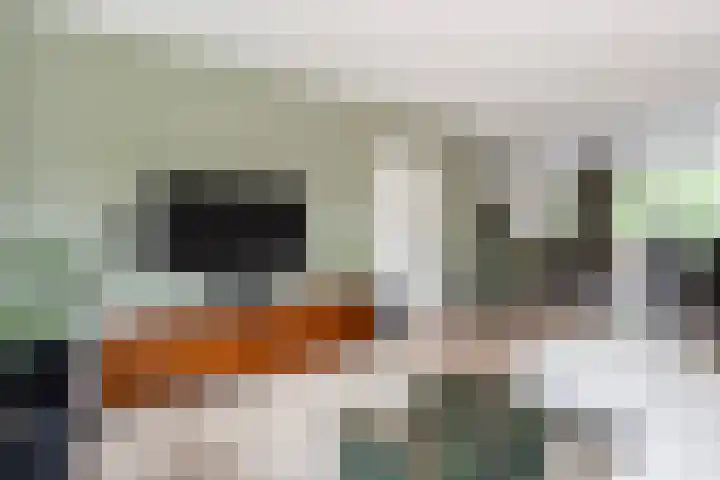 Hogenkampsweg 38 Zwolle thumbnail 11