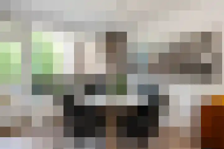 Hogenkampsweg 38 Zwolle thumbnail 13