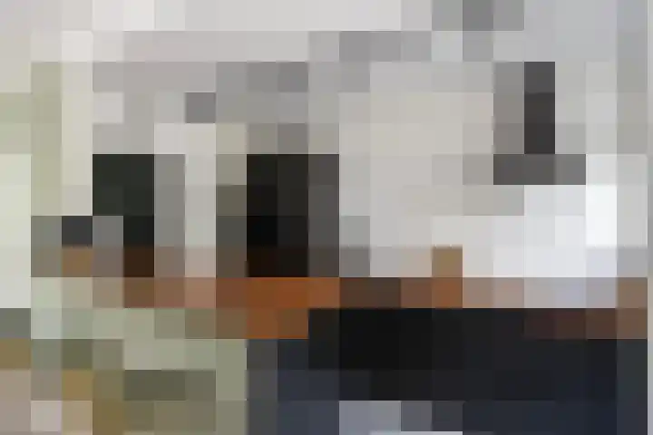 Hogenkampsweg 38 Zwolle thumbnail 14