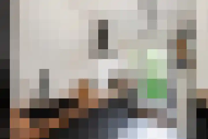 Hogenkampsweg 38 Zwolle thumbnail 15