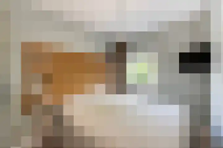 Hogenkampsweg 38 Zwolle thumbnail 17