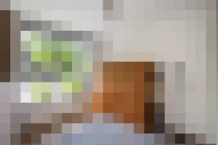 Hogenkampsweg 38 Zwolle thumbnail 18