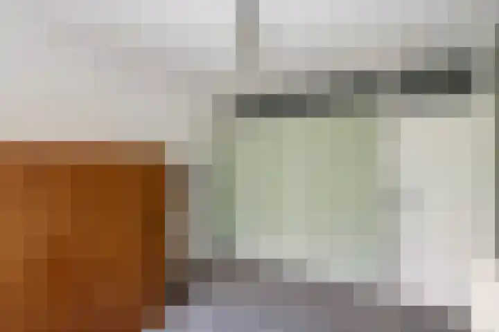 Hogenkampsweg 38 Zwolle thumbnail 19