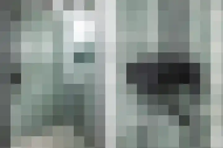 Hogenkampsweg 38 Zwolle thumbnail 20
