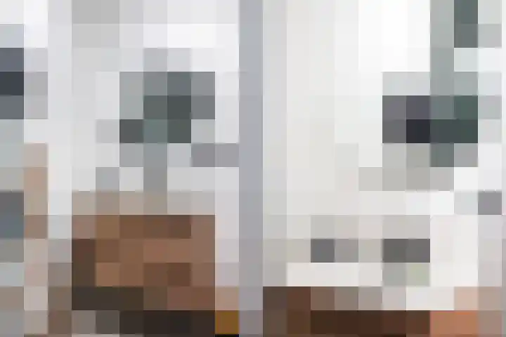 Hogenkampsweg 38 Zwolle thumbnail 21