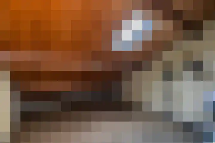 Hogenkampsweg 38 Zwolle thumbnail 24