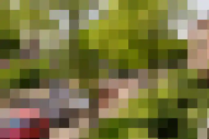 Hogenkampsweg 38 Zwolle thumbnail 26
