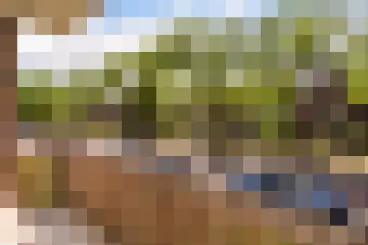 Hogenkampsweg 38 Zwolle thumbnail 27