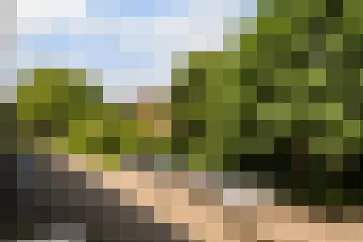 Hogenkampsweg 38 Zwolle thumbnail 28