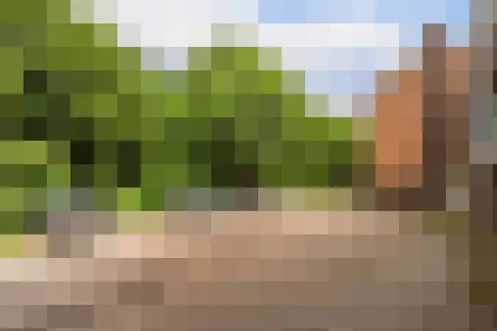 Hogenkampsweg 38 Zwolle thumbnail 29