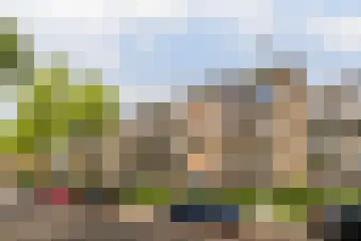 Hogenkampsweg 38 Zwolle thumbnail 4