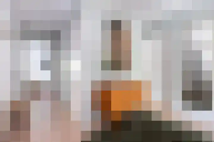 Hogenkampsweg 38 Zwolle thumbnail 7