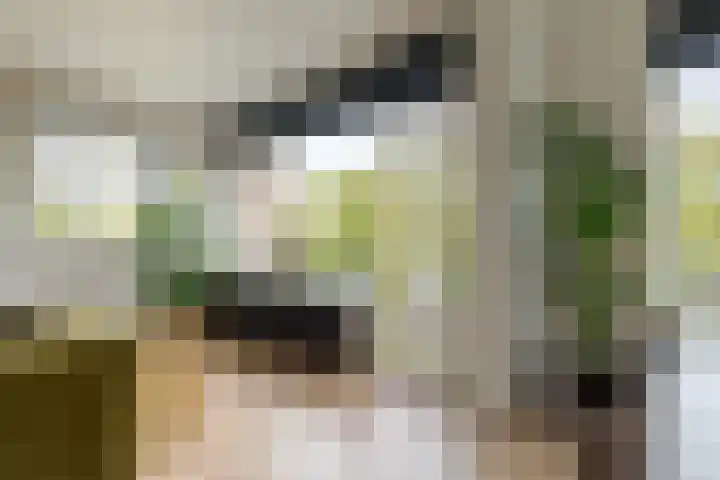 Hogenkampsweg 42 Zwolle thumbnail 10