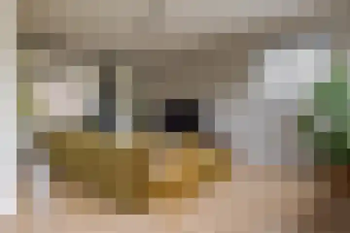 Hogenkampsweg 42 Zwolle thumbnail 11