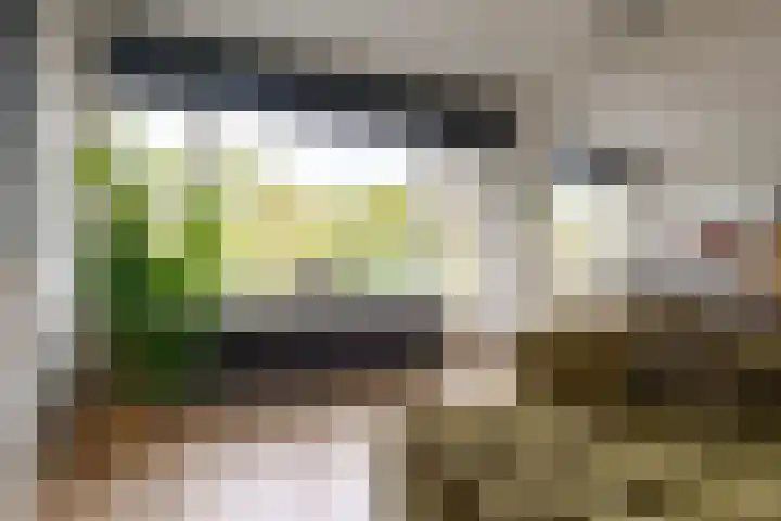 Hogenkampsweg 42 Zwolle thumbnail 12
