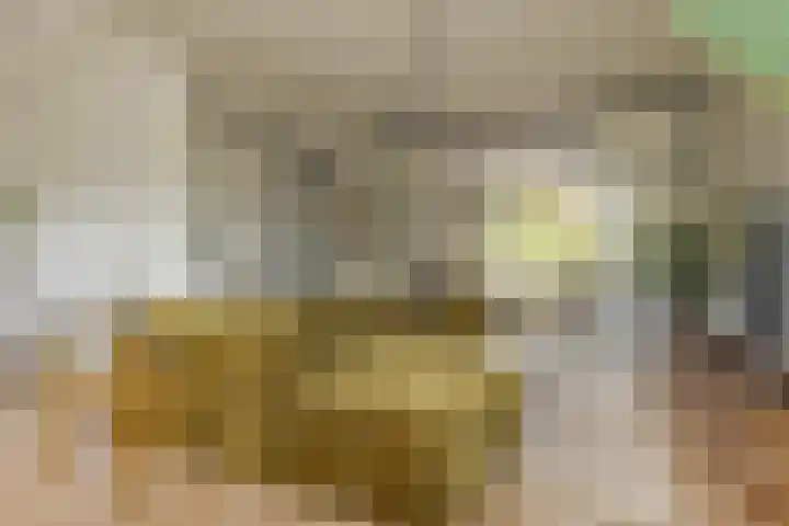 Hogenkampsweg 42 Zwolle thumbnail 13