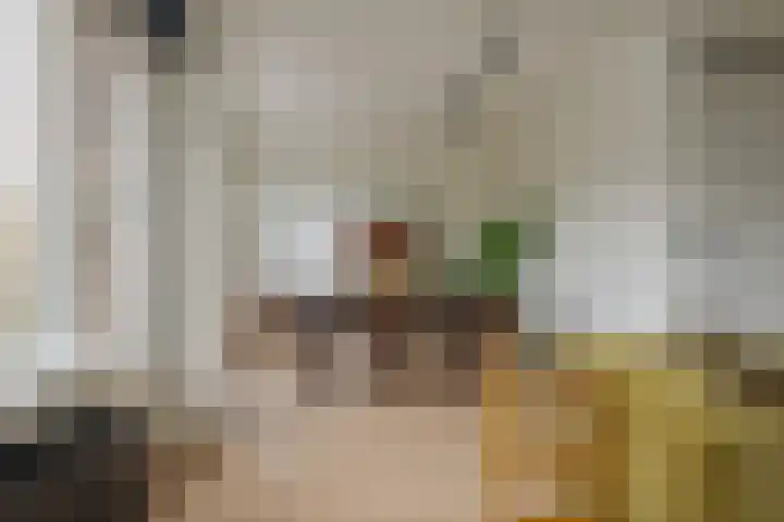 Hogenkampsweg 42 Zwolle thumbnail 14