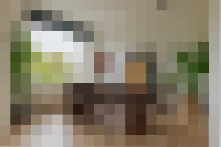 Hogenkampsweg 42 Zwolle thumbnail 15