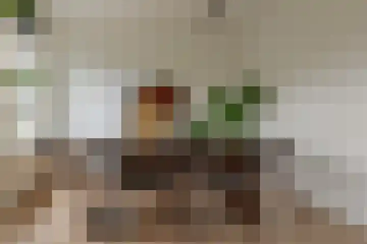Hogenkampsweg 42 Zwolle thumbnail 16