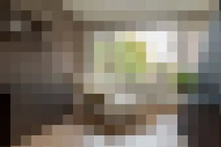 Hogenkampsweg 42 Zwolle thumbnail 20