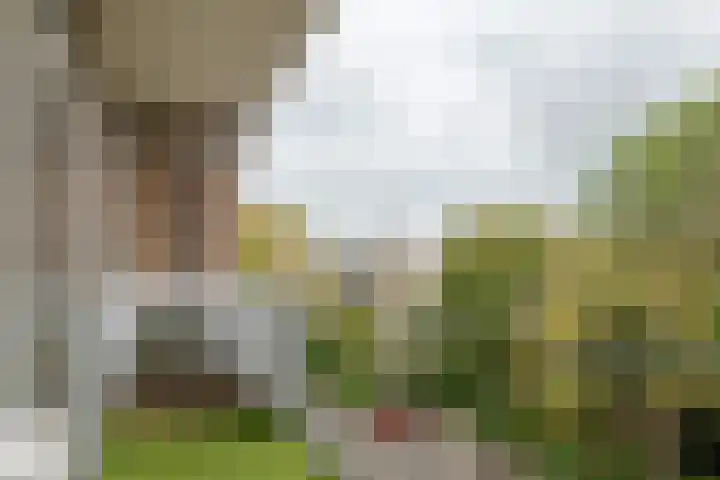 Hogenkampsweg 42 Zwolle thumbnail 22