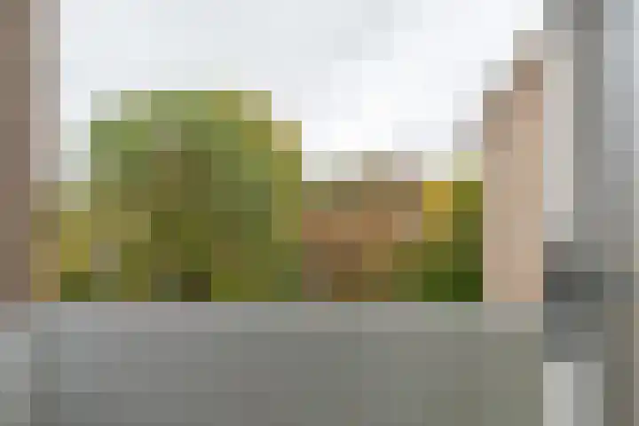 Hogenkampsweg 42 Zwolle thumbnail 26