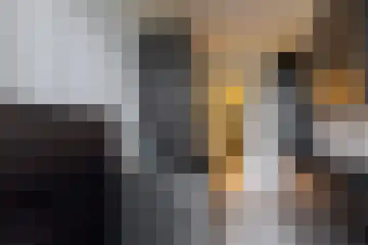 Hogenkampsweg 42 Zwolle thumbnail 27