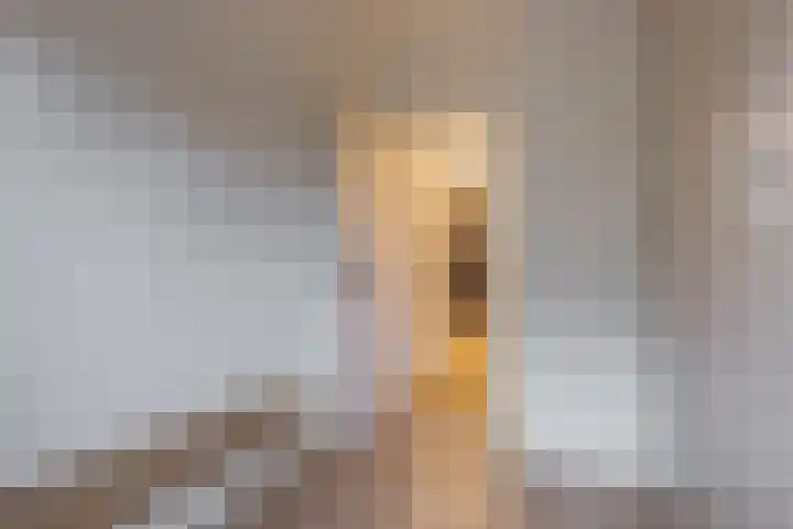 Hogenkampsweg 42 Zwolle thumbnail 31