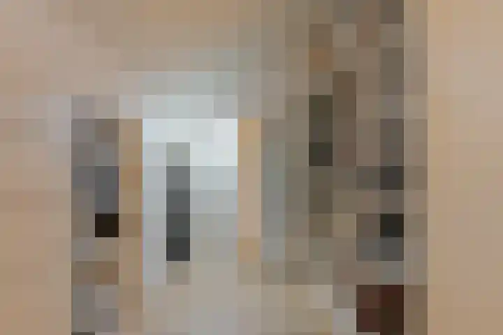 Hogenkampsweg 42 Zwolle thumbnail 36