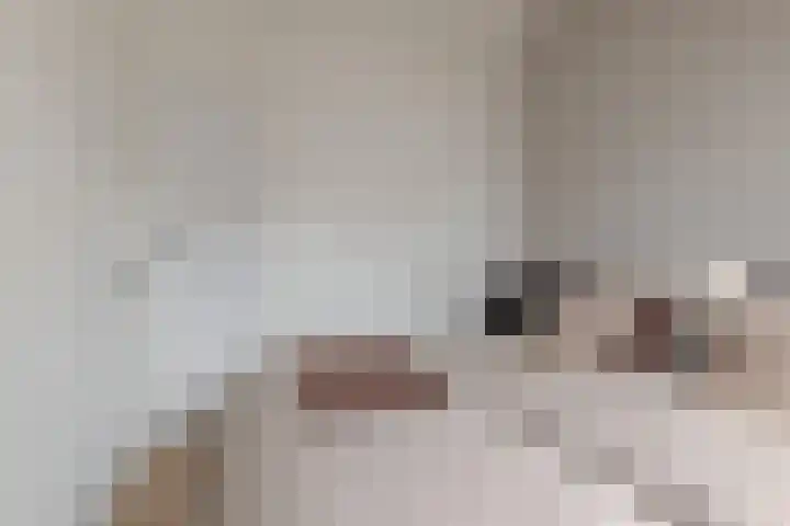 Hogenkampsweg 42 Zwolle thumbnail 39