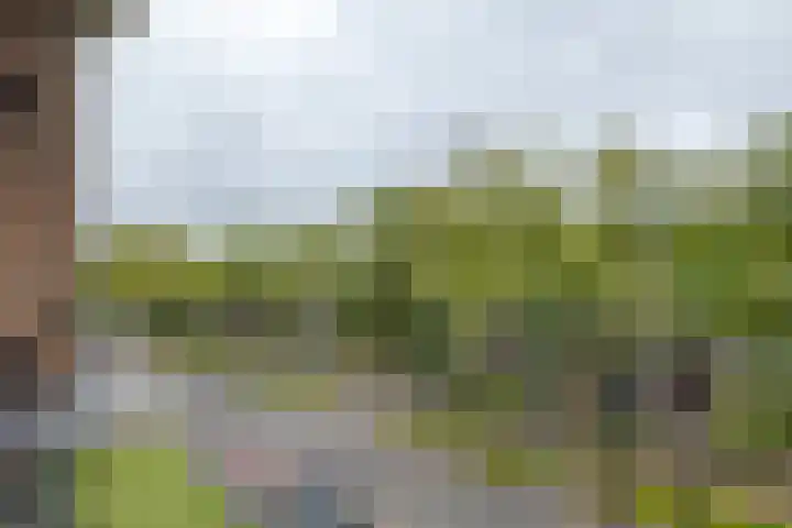 Hogenkampsweg 42 Zwolle thumbnail 7
