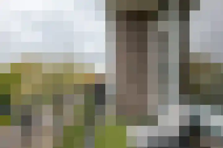 Hogenkampsweg 42 Zwolle thumbnail 9