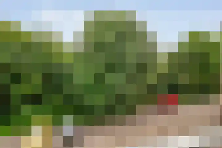 Hogenkampsweg 46 Zwolle thumbnail 10