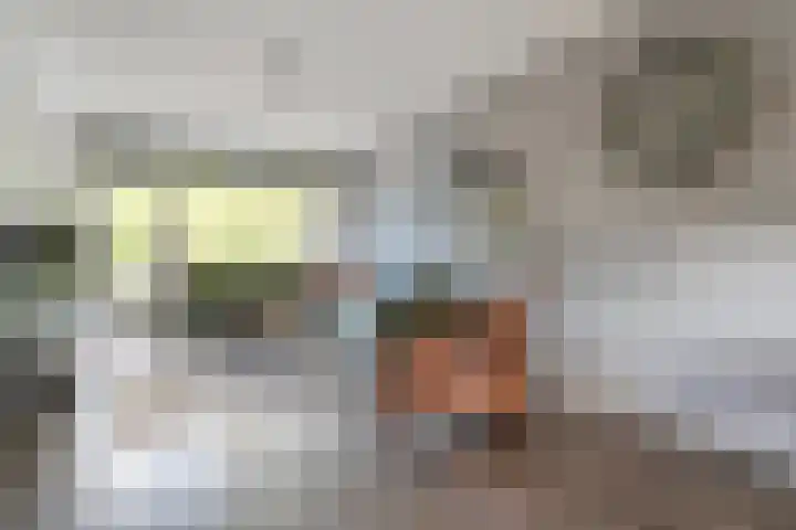 Hogenkampsweg 46 Zwolle thumbnail 12