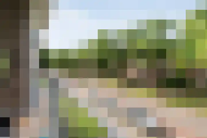 Hogenkampsweg 46 Zwolle thumbnail 15