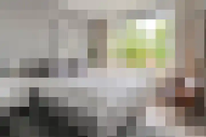 Hogenkampsweg 46 Zwolle thumbnail 17