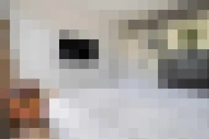 Hogenkampsweg 46 Zwolle thumbnail 18