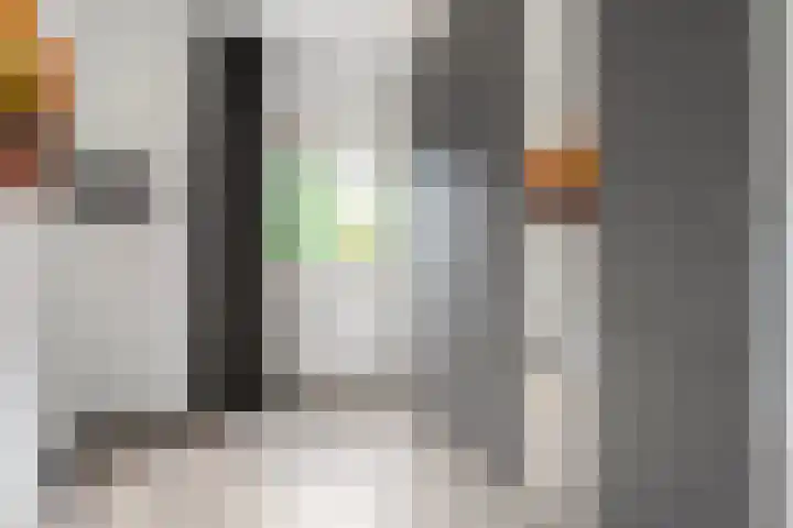 Hogenkampsweg 46 Zwolle thumbnail 20