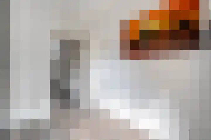 Hogenkampsweg 46 Zwolle thumbnail 21
