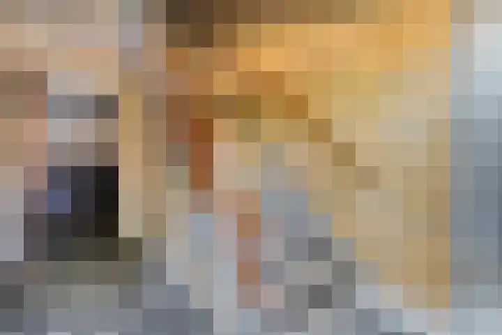 Hogenkampsweg 46 Zwolle thumbnail 24