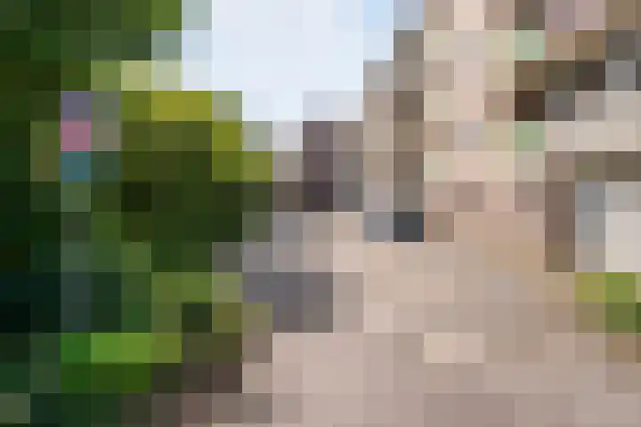 Hogenkampsweg 46 Zwolle thumbnail 26