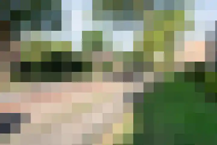 Hogenkampsweg 46 Zwolle thumbnail 27