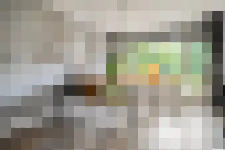 Hogenkampsweg 46 Zwolle thumbnail 4