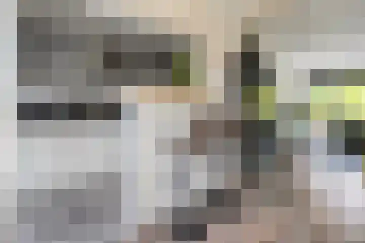 Hogenkampsweg 46 Zwolle thumbnail 5