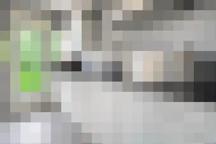Hogenkampsweg 46 Zwolle thumbnail 7