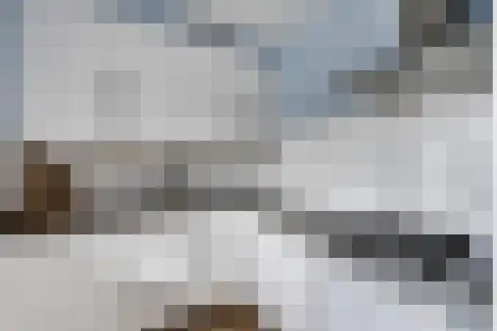 Hogenkampsweg 53 Zwolle thumbnail 13